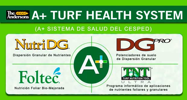imagen A+ health nutrition