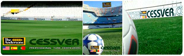 IMAGEN CESPED FUTBOL