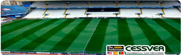 IMAGEN CESPED FUTBOL
